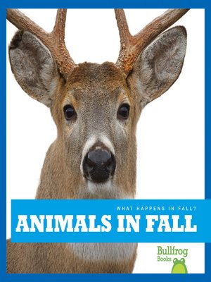 cover image of Animals in Fall
